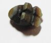 Picture of ANCIENT EGYPT, AGATE FROG AMULET. 1400 - 1100 B.C  NEW KINGDOM.