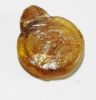 Picture of ANCIENT JORDAN, ROMAN GLASS PENDANT WITH LION 100 - 200 A.D