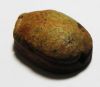 Picture of ANCIENT EGYPT. NEW KINGDOM STONE SCARAB. 1400-1200 B.C