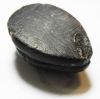 Picture of ANCIENT EGYPT, LARGE / UNIQUE SHAPE. BLACK STONE SCARAB. NEW KINGDOM. 1300 B.C