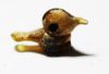 Picture of ANCIENT ROMAN GLASS BIRD AMULET. 200 - 300 A.D