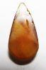 Picture of ANCIENT EGYPT. AGATE TEARDROP BEAD / PENDANT. 600 - 300 B.C