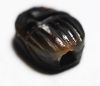 Picture of ANCIENT EGYPT. AGATE SCARAB. NEW KINGDOM. 1400 B.C