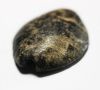 Picture of Iron Age I-II, 1000-800 BC. Stone Seal