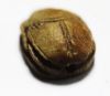 Picture of Ancient Egypt. New Kingdom. 1400 - 1200 B.C Stone Scarab