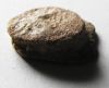 Picture of GREEK. 300 B.C LEAD SEAL IMPRESSION