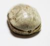 Picture of ANCIENT EGYPT. 1800 - 1570 B.C. STONE SCARAB.  2nd Intermediate Period