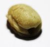 Picture of ANCIENT EGYPT. NEW KINGDOM STONE SCARAB. 1400 B.C