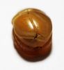 Picture of ANCIENT EGYPT. NEW KINGDOM CARNELIAN STONE SCARAB. 1400 B.C