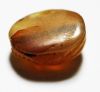 Picture of ANCIENT EGYPT. NEW KINGDOM CARNELIAN STONE SCARAB. 1400 B.C