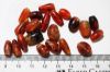 Picture of ANCIENT EGYPT. 2ND INTERMEDIATE PERIOD . 1650 - 1550 B.C CARNELIAN BEADS (21pcs)