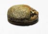 Picture of ANCIENT EGYPT. STONE SCARAB. NEW KINGDOM. 1400 B.C