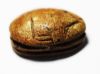 Picture of ANCIENT EGYPT , NEW KINGDOM GLAZED STONE SCARAB. 1400 B.C