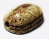 Picture of ANCIENT EGYPT. STONE SCARAB. 1650 - 1550 B.C. 2ND INTERMEDIATE PERIOD