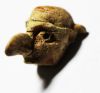 Picture of ANCIENT GREEK BONE HEAD OF A GRIFFIN. 300 - 100 B.C