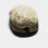 Picture of ANCIENT EGYPT. 2ND INTERMEDIATE PERIOD STONE SCARAB. 1650 -1550 B.C