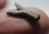 Picture of ANCIENT EGYPT. NEW KINGDOM SILVER FLY AMULET. 1300 B.C