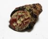 Picture of ANCIENT ROMAN RED JASPER INTAGLIO . 200 - 300 A.D