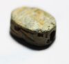 Picture of ANCIENT EGYPT. NEW KINGDOM STONE SCARAB. 1400 - 1300 B.C