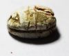 Picture of ANCIENT EGYPT. 2ND INTERMEDIATE PERIOD. STONE SCARAB. 1782-1550 B.C