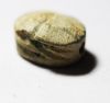 Picture of ANCIENT EGYPT. 2ND INTERMEDIATE PERIOD. STONE SCARAB. 1782-1550 B.C