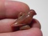 Picture of ANCIENT EGYPTIAN CARNELIAN FALCON AMULET. 1400 - 1200 B.C