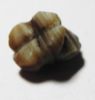 Picture of ANCIENT EGYPT, NEW KINGDOM BANDED AGATE FROG. 1550-1077 B.C