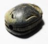 Picture of ANCIENT EGYPT. STONE SCARAB. NEW KINGDOM. 1400 B.C