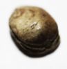 Picture of ANCIENT EGYPT. STONE SCARAB. NEW KINGDOM. 1400 B.C