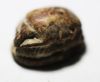 Picture of ANCIENT EGYPT. NEW KINGDOM STONE SCARAB. 1300 B.C