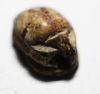 Picture of ANCIENT EGYPT. NEW KINGDOM STONE SCARAB. 1300 B.C