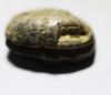 Picture of ANCIENT EGYPT. NEW KINGDOM STONE SCARAB. 1300 B.C