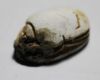 Picture of ANCIENT EGYPT - 2ND INTERMEDIATE PERIOD STEATITE SCARAB. 2000 B.C.