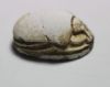 Picture of ANCIENT EGYPT - 2ND INTERMEDIATE PERIOD STEATITE SCARAB. 2000 B.C.