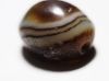 Picture of Persian Period. 5th Cent. B.C. Agate Seal. Two quadrupeds. Eye Bead