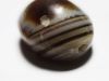 Picture of Persian Period. 5th Cent. B.C. Agate Seal. Two quadrupeds. Eye Bead