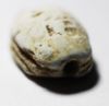 Picture of ANCIENT EGYPT. 2ND INTERMEDIATE PERIOD. STONE SCARAB. 1782-1550 B.C