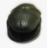 Picture of ANCIENT EGYPT. NEW KINGDOM. SCHIST STONE SCARAB 1400 - 1300 B.C B.C