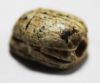 Picture of ANCIENT LEVANT. STONE SCARAB. IRON AGE. 900 - 700 B.C. WITH PSEUDO - HIEROGLYPHS