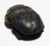 Picture of LIMITED STOCK: ANCIENT EGYPT. LAPIS LAZULI BUTTON SCARAB. NEW KINGDOM. 1400 - 1200 B.C