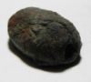 Picture of IRON AGE. HOLY LAND. BRONZE SCARAB. 1200 - 900 B.C