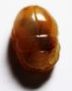 Picture of ANCIENT EGYPT. NEW KINGDOM CARNELIAN SCARAB. 1400 B.C