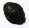 Picture of ANCIENT EGYPT. NEW KINGDOM. LAPIS LAZULI SCARAB. 1300 B.C