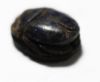 Picture of ANCIENT EGYPT. NEW KINGDOM. LAPIS LAZULI SCARAB. 1300 B.C