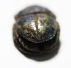 Picture of ANCIENT EGYPT. NEW KINGDOM. LAPIS LAZULI SCARAB. 1300 B.C