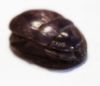 Picture of ANCIENT EGYPT. NEW KINGDOM. LARGE AMETHYST SCARAB. 1400 B.C