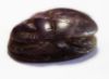 Picture of ANCIENT EGYPT. NEW KINGDOM. LARGE AMETHYST SCARAB. 1400 B.C