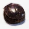 Picture of ANCIENT EGYPT. NEW KINGDOM. LARGE AMETHYST SCARAB. 1400 B.C