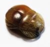 Picture of ANCIENT EGYPT. NEW KINGDOM. LARGE AGATE SCARAB. 1400 B.C