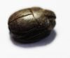 Picture of ANCIENT EGYPT. NEW KINGDOM STONE SCARAB 1400 - 1200 B.C